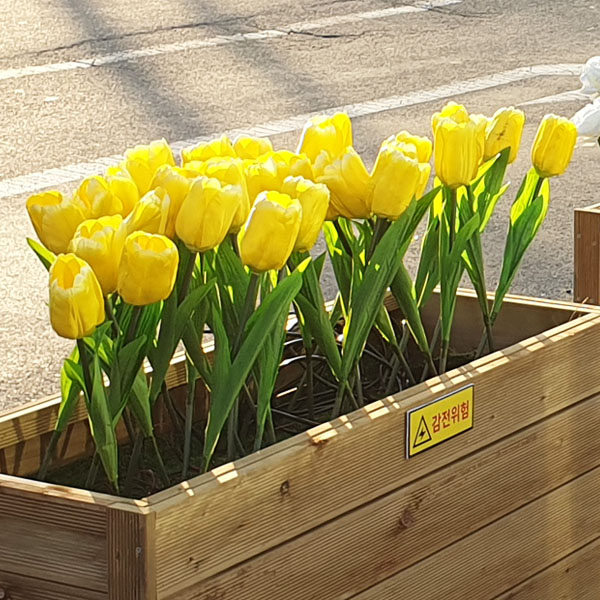 LED 튤립 32송이 1set