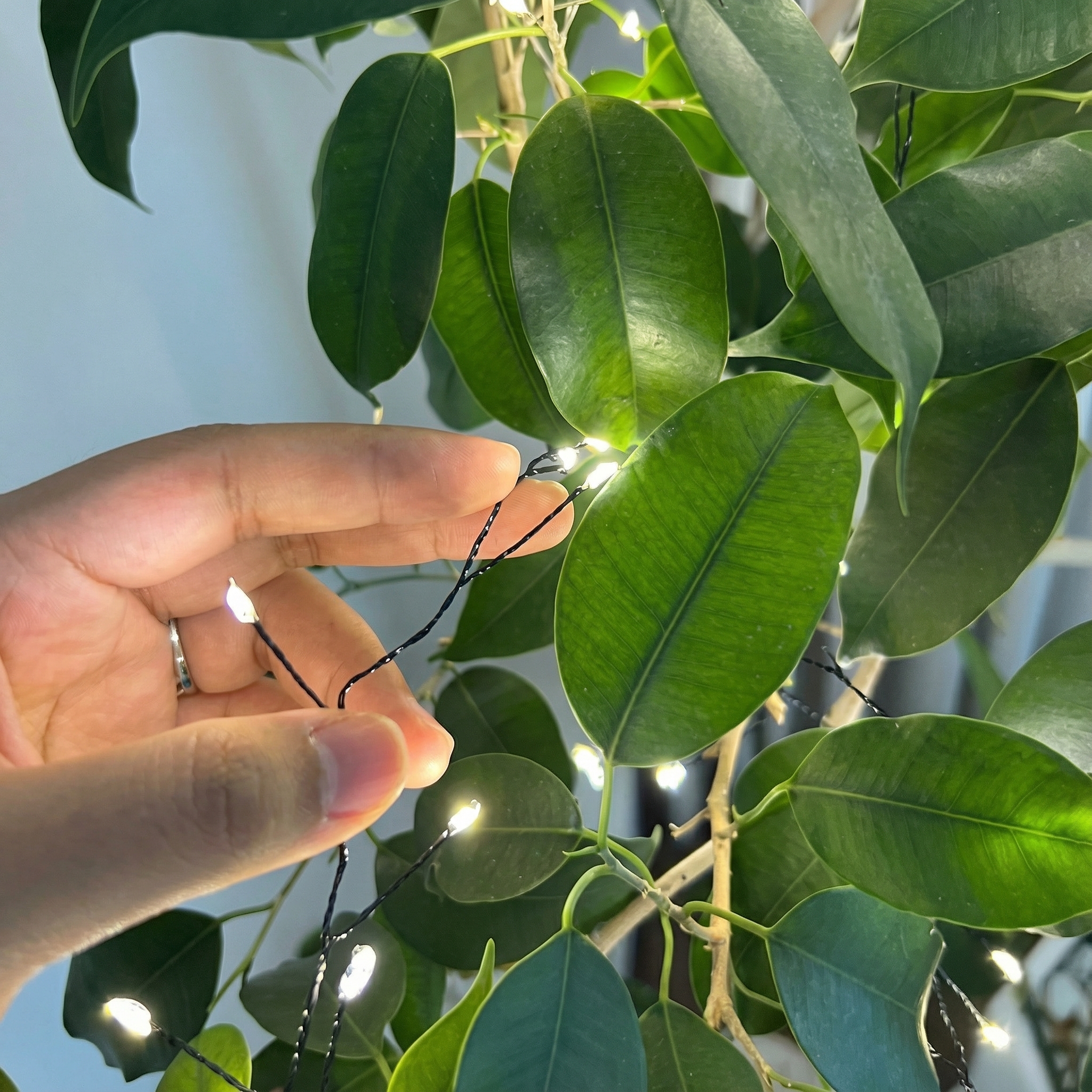 선세이브 LED 동선등 와이어 지네전구 200구 전원포함 리모컨 세트