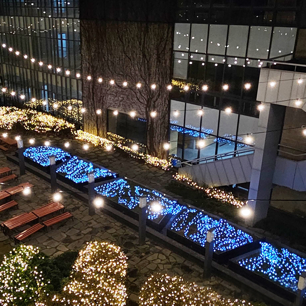 선세이브 LED 은하수 300구 전구 DC24V